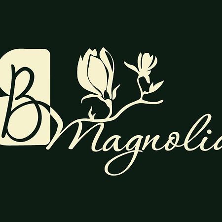 Апартаменты Casa Magnolia, Tranquilla E Centrale Никелино Экстерьер фото
